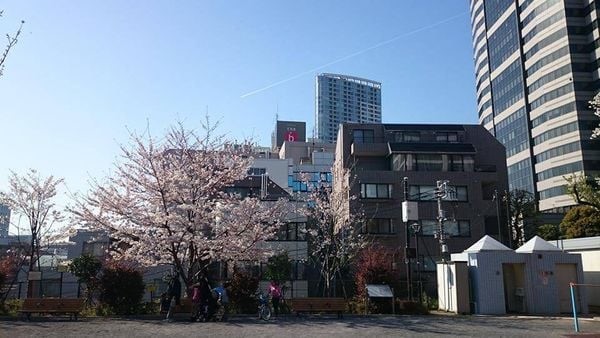 Trường Nhật ngữ Edo tại Tokyo